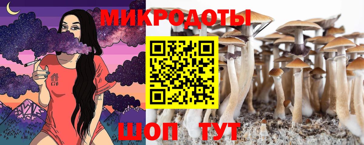 закладки  Вход с VPN  Большой Камень  Галлюциногенные грибы прущие грибы 
